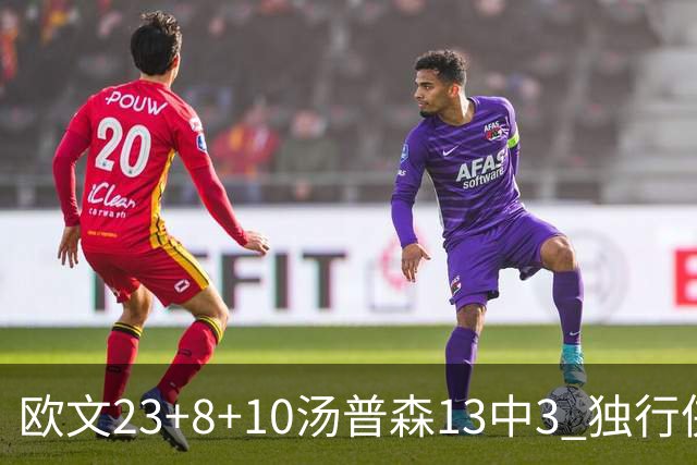 欧文23+8+10汤普森13中3 独行侠力克勇士4连胜